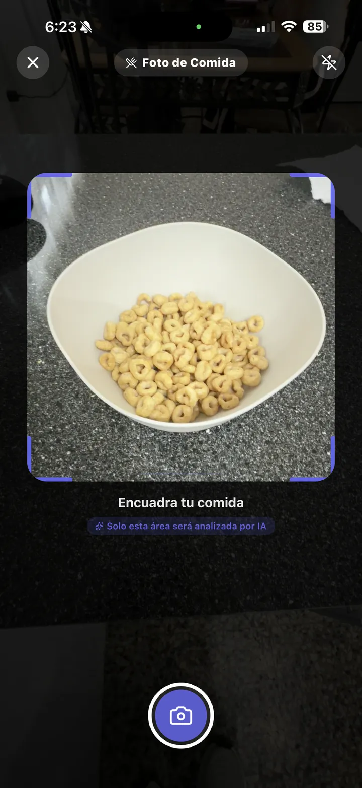 Weight Pocket food camera — frame your meal for AI analysis